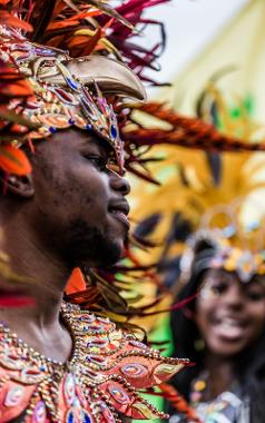 Man at 2017 Caribbean Carnival parade dressed in colourful and jewelled bird-themed costume.