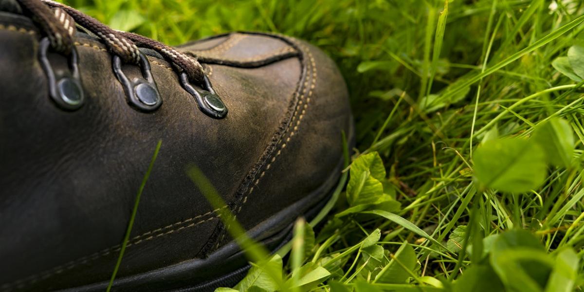 Main image: Walx Preston Close-up of hiking boot laying on grass.