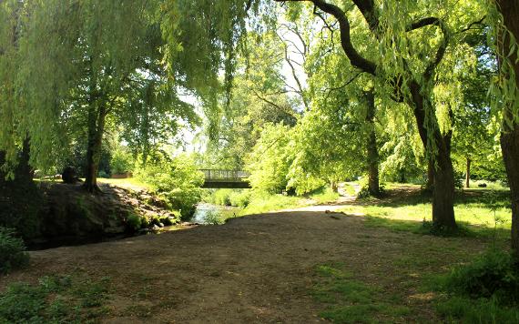 River and bridge in Haslam Park's nature reserve.