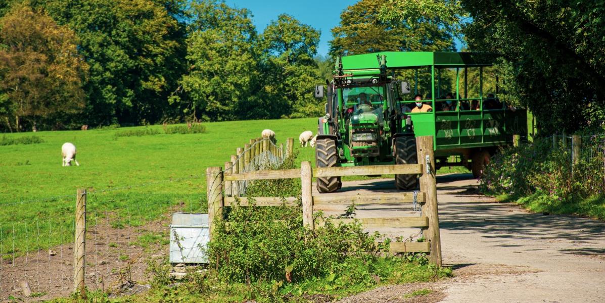 Tractor at Smithy Farm Tractor at Smithy Farm