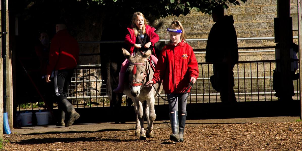 Child riding on a donkey at Smithy Farm, Preston