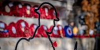 Image for Armistice Day 2023