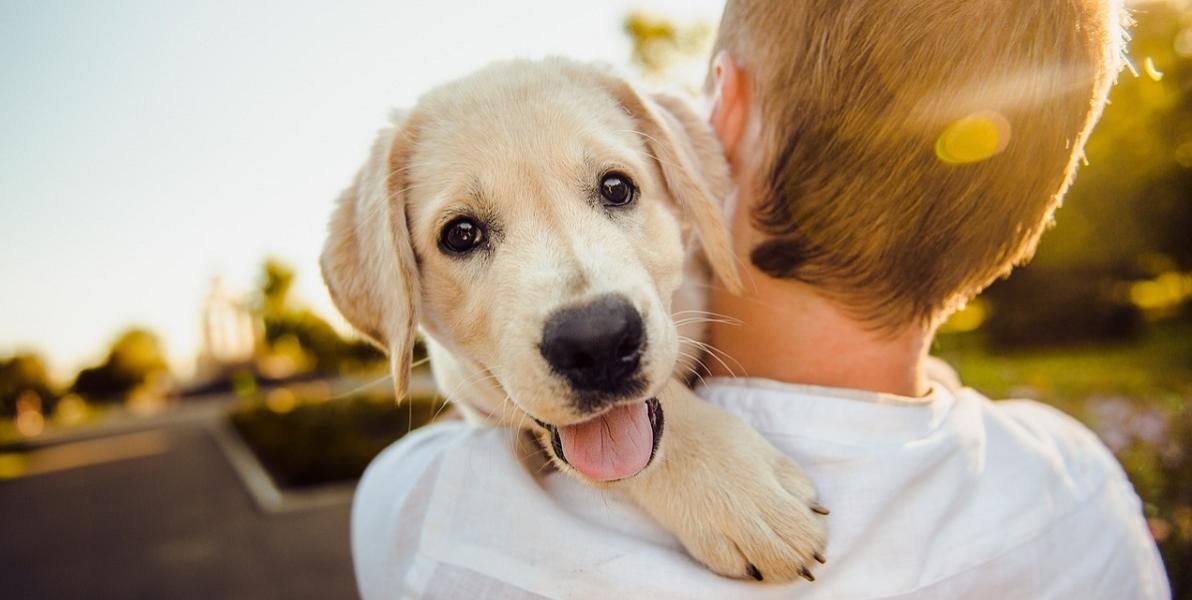 Person with dog close up