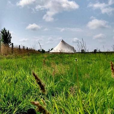 Tent in field