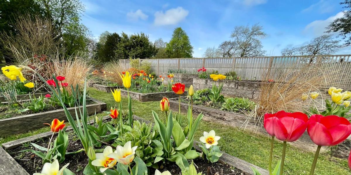 Colourful flowers in beds inside the Walled Garden in Ashton Park