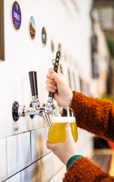 Bartender pulling pint