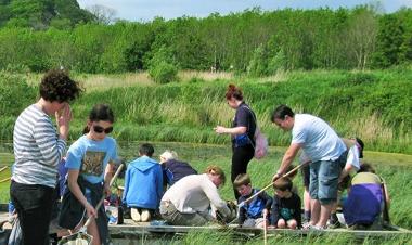 Children and adults pond dipping