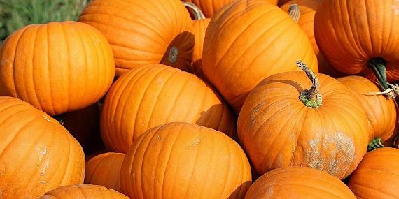 Pumpkin Carving at Brockholes