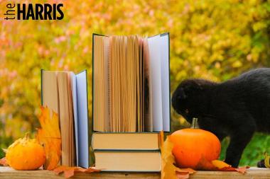 A black cat, small pumpkins and books