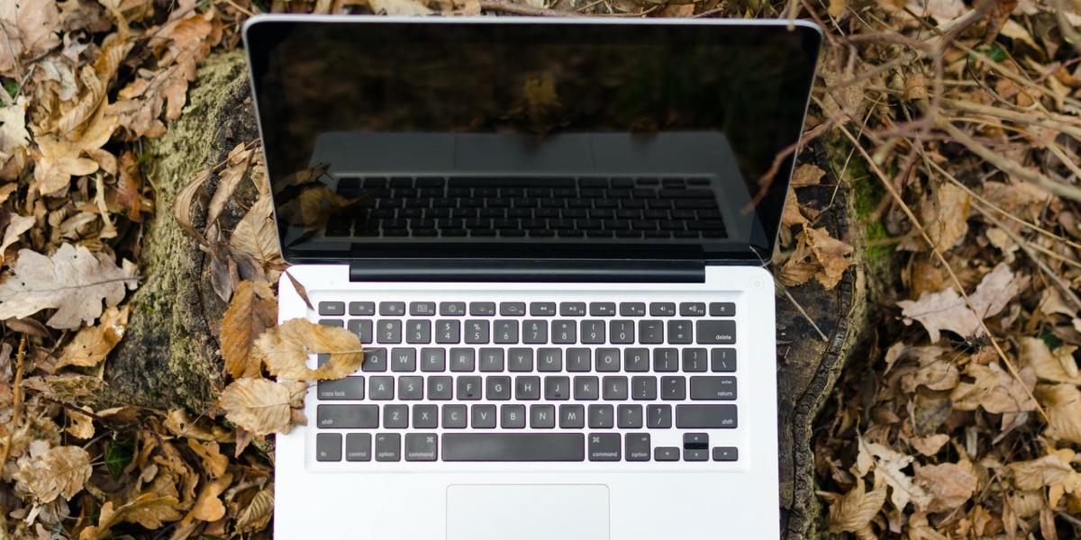 Laptop outside, covered in autumn leaves