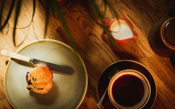 Scone and a cup of tea, alongside a plant, on a table in the Harris Café.