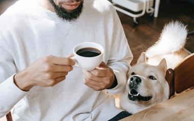 Dog watching owner drink a cup of coffee.