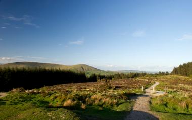 Hills and trees along Beacon Fell summit.