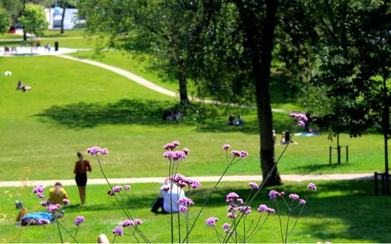 Sunbathers in Winckley Square Gardens.