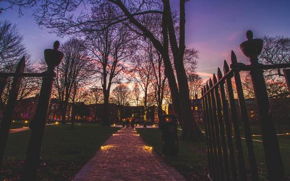 Winckley Square Gardens lit up at night.