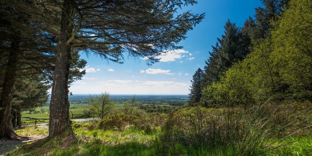 Main image: View overlooking hills and villages from Beacon Fell Country Park. View overlooking hills and villages from Beacon Fell Country Park.