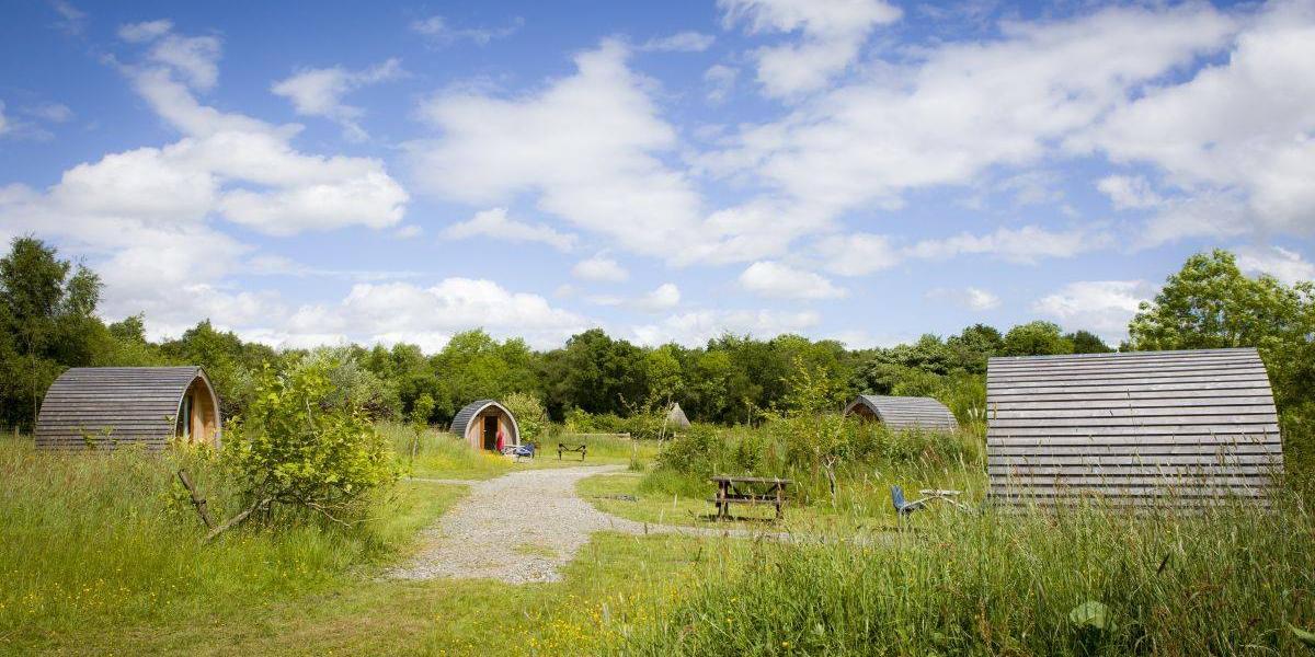 Four camping pods surrounded by greenery at Bowland Wild Boar Park.