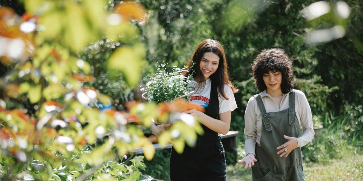 Main image Mental Health Mates Walks Talks Friends chatting as walking through park.
