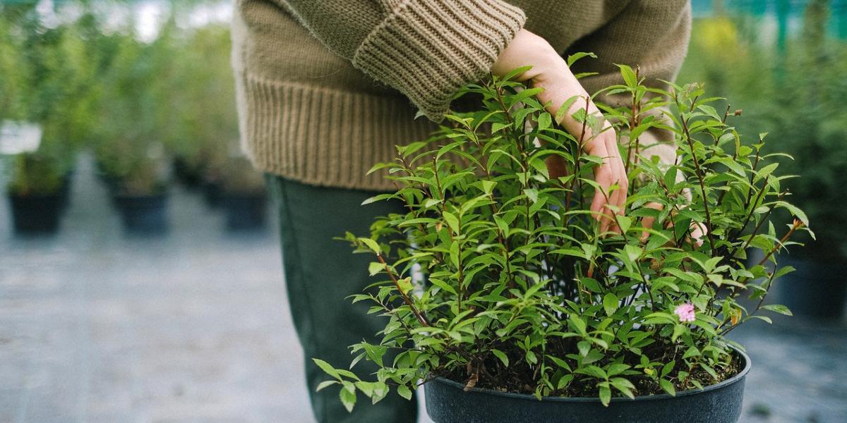 Main image Myplace Woman stood outdoors with plant in her hand.