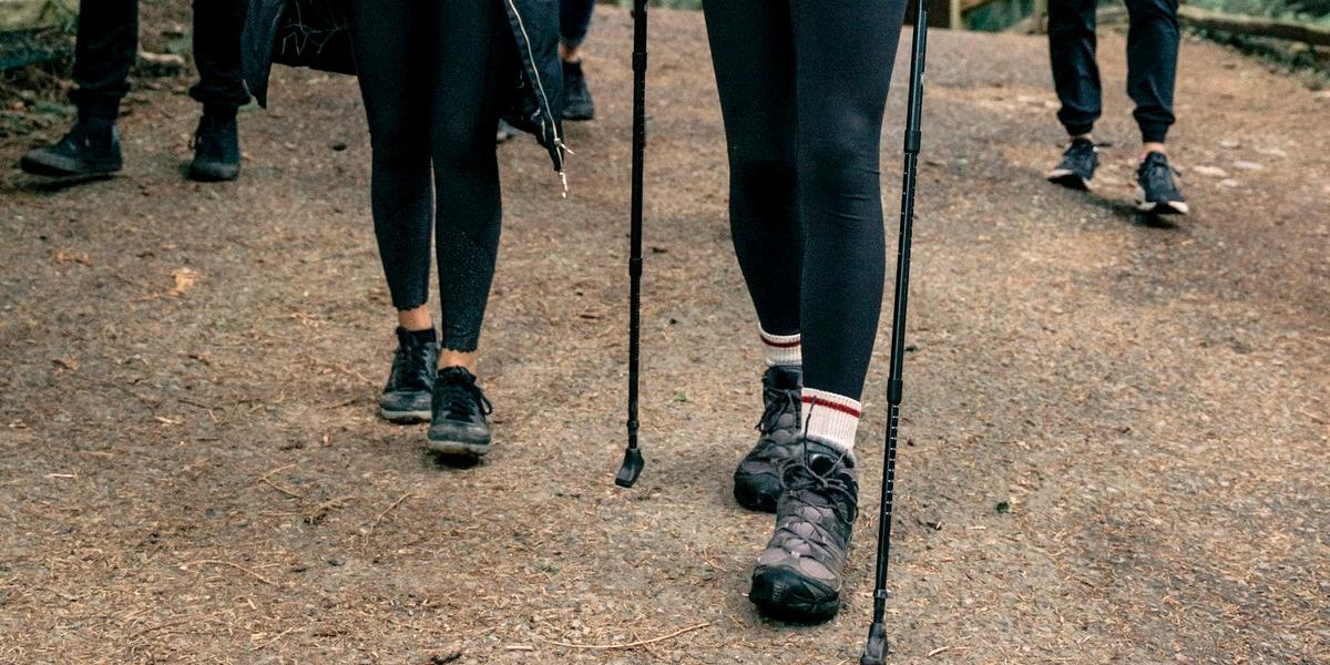 Group walking through woods with Nordic walking poles.