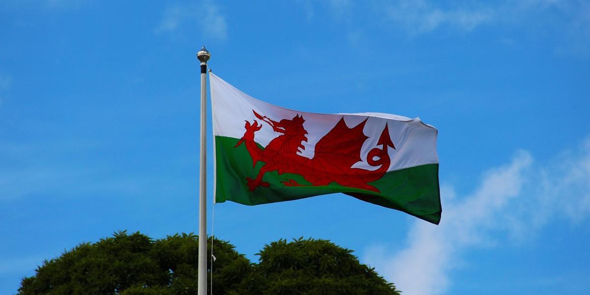 Main image Welsh Club Welsh flag flying on pole.