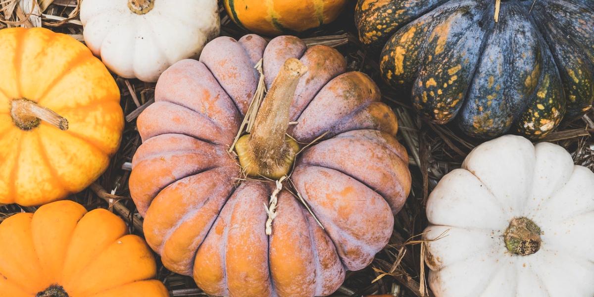 Halloween 2024: Where to Pick Pumpkins in Preston