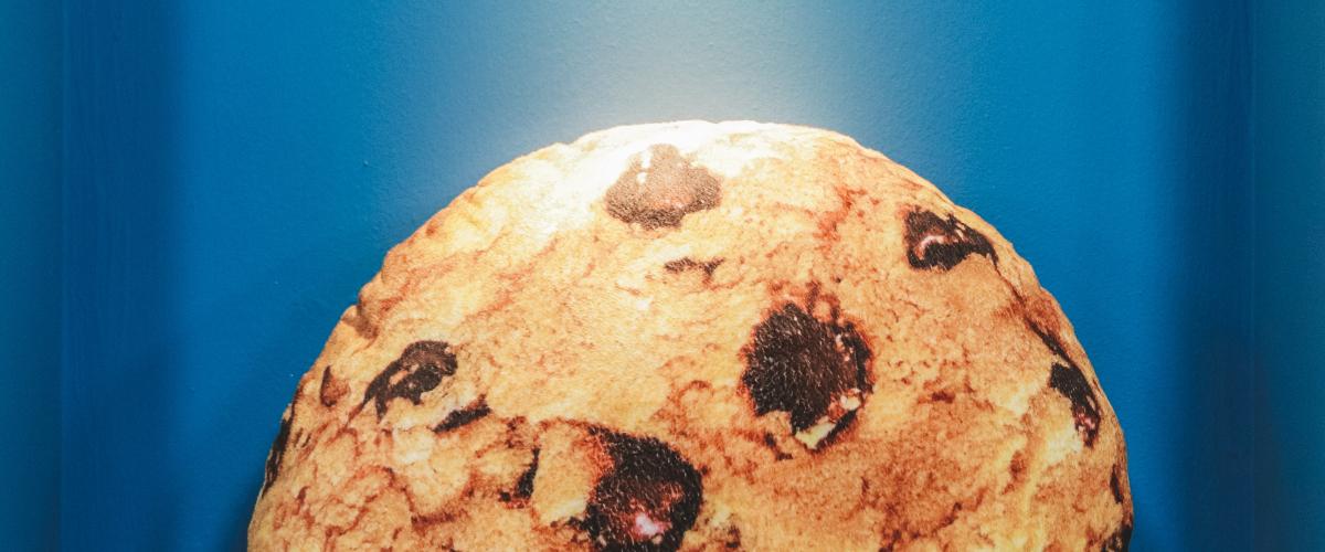 Chocolate chip cookie against a blue background.